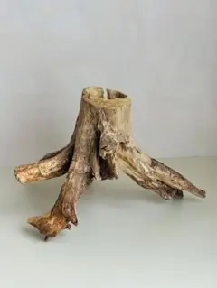 流木 インテリア装飾用