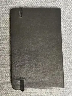 Item thumbnail for item 56caff46-7ec5-4d63-9833-14696bcab055