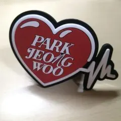 TREASURE ペンライト スティックリング ジョンウ