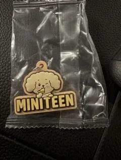 MINITEEN ぷっくりめじるしアクセサリー　ドギョム