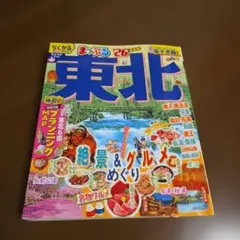 Item thumbnail for item 0de920db-ae19-4b14-b84a-33bcd23d82d8