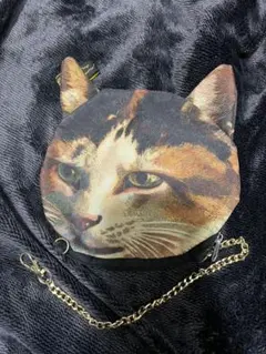 2026年最新】あちゃちゅむ 猫の人気アイテム - メルカリ