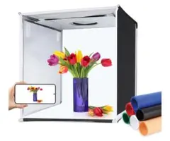 Item thumbnail for item 2f78f536-c930-4b45-b91a-6ff62680fbf9