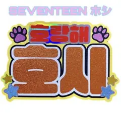 SEVENTEEN ホシ　うちわ文字　ネームボード