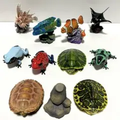 いきもの大図鑑 まとめ セット