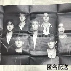 BTS ARIRANG 特大ポスター　Living Legend 公式　アリラン