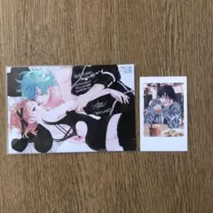 顔だけじゃ好きになりません 春の嵐とモンスター 特典 ポストカード カード