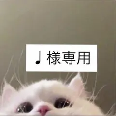♩さま専用