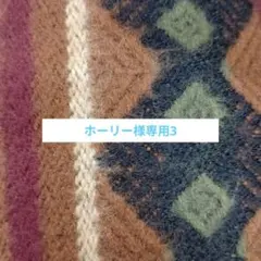 ホーリー様専用3