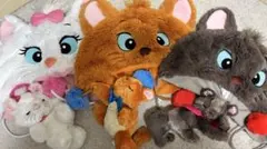 おしゃれキャット　ファンキャップ　ぬいぐるみ　セット