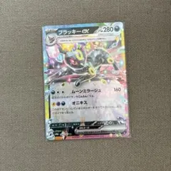 ブラッキーex テツノイサハex テラスタルフェスのサムネイル