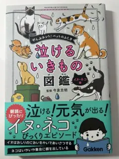 Item thumbnail for item ab62d9d7-5790-4edd-a7e9-5568fce36d49