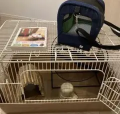 Item thumbnail for item cf32dcdc-59bf-4a5b-8604-b63b581c55e7