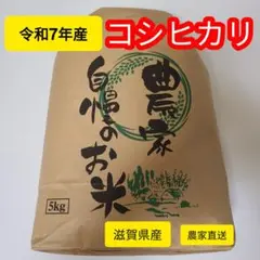 新米 令和7年収穫 2025年産 農家直送 三重県産コシヒカリ精米 5kg5キロ
