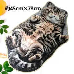【新品】猫柄 デザインマット ネコ マルチマット ねこラグ キジトラ