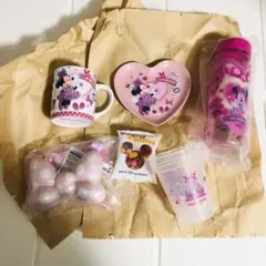 ミニーパルパルーザ ファンダーランド スーベニア プレート グミスナックケース