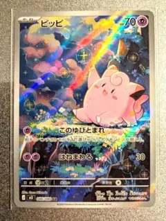 ピッピ AR ポケパットの2枚セット