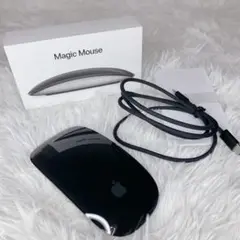 Apple Magic Mouse mmmq3j ブラック USB接続