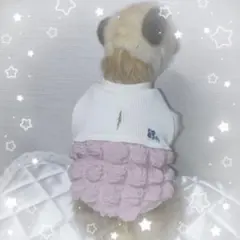 Item thumbnail for item 873be446-d42f-4ce9-9892-dad2c4287abf