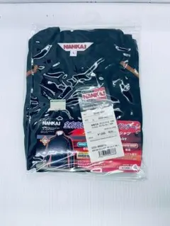 Item thumbnail for item 1cbd580d-aed1-47d0-b326-7908cd709bcd