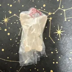 Stray Kids SKZOO グミ＆チャーム　アイエン　フォクシニー