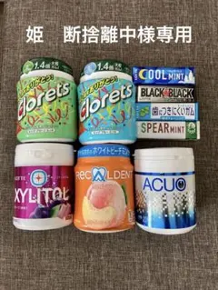 【姫　断捨離中様専用】ボトルガム　板ガム　9点セット