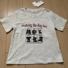 【新品】クロップド丈 ショート丈 綿 半袖 ライトグレー　犬