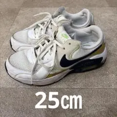 ナイキ エアマックス エクシー AIR MAX EXCEE CD4165-119