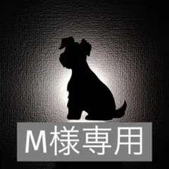 ジェルネイル　　m様専用