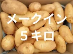 新じゃがいも☆メークイン☆５キロ☆長崎県産のサムネイル