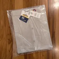 Item thumbnail for item b25cf667-c039-4824-817f-618e1bc61c6e