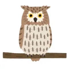 桃あゆコロ様専用