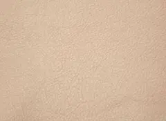 Item thumbnail for item a29df1d0-960b-49dd-8b96-358e822eb33d