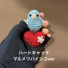 ◇ マルメリハインコ♡とり♡カラス♡文鳥　かぎ針編み