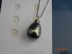 黒蝶真珠（約10.5×15.8㎜ ）SV925 スライドピンチェーン