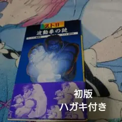 恩田武範の天掌 TENSHO DVDセット - メルカリ