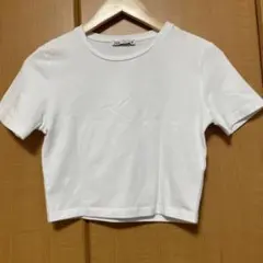 ZARA ホワイト 半袖 クロップドTシャツ　S