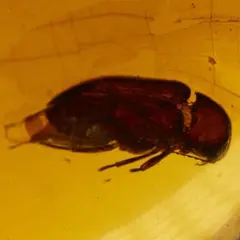 ケンゾー様 リクエスト 2点 まとめ商品