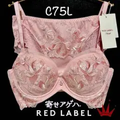 ＊C75L トリンプ プレミアム 寄せアゲハ 花と油絵 ブラ＆ショーツ M019