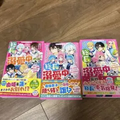 総長さま、溺愛中につき。 3冊セット　9.10.11