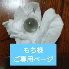 もち様　ご専用です。