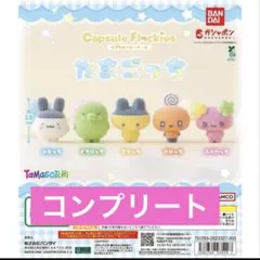 たまごっち カプセルフロッキーズ コンプリート 가챠