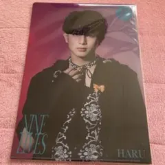 超特急 ハル NINE LIVES クリアファイル REAL 会場限定 CD