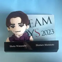 SnowMan 渡辺翔太 DREAMBOYS ドリボ 2023 ぬいぐるみ