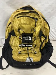 Supreme The North Face Borealis リュック