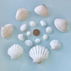 Item thumbnail for item bf8ded63-3f3b-4b71-90f1-1202a5943a72