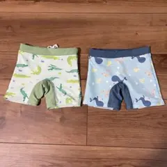 Item thumbnail for item 7dc72213-478b-47f8-9696-d296a5b17441