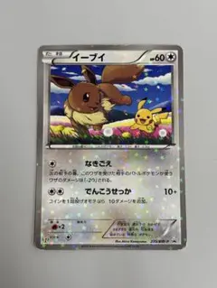 2025年最新】イーブイ bw-pの人気アイテム - メルカリ