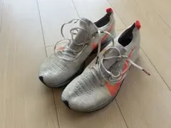 Item thumbnail for item 0f1d1296-1cc1-4733-98f9-2a6517297d53