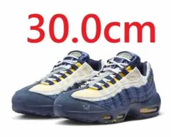 Eric Koston Nike SB Air Max 95 30cm